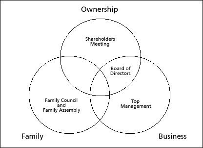 Figure 2: Basic Governance Structures of the Family Business System