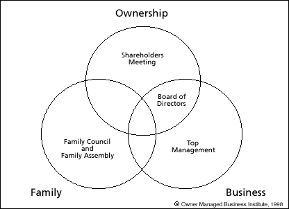 Figure 1: Governance Structures of the Family Business System