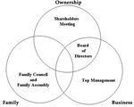 Basic Governance Structures of the Family Business System