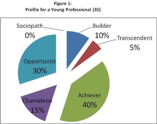 Figure 1: Profile of a Young Professional (35)